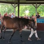 2019_OTRA_0577 (September 01, 2019)